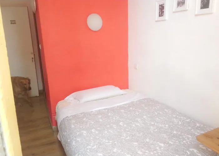 Casa De Barca